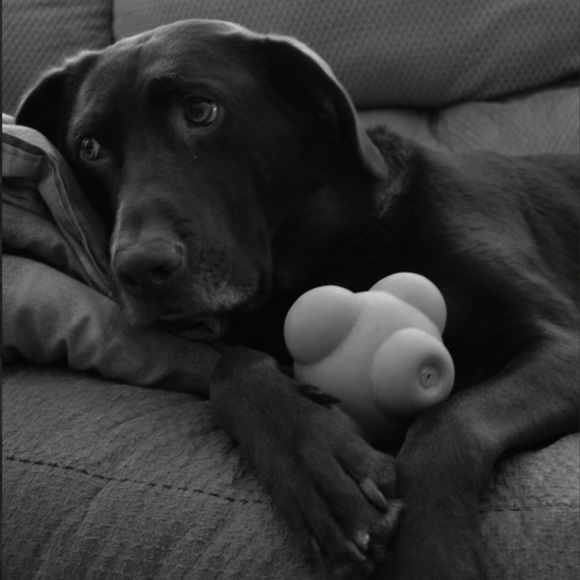 Meet your Posher, Kristyn - Picture 5 of 6